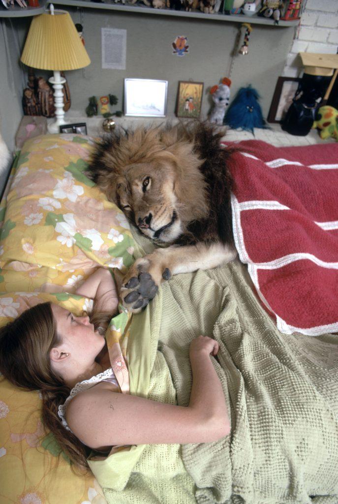 Pakistan launches crackdown on ‘pet’ lion ownership after woman mauled in Lahore street – The Independent