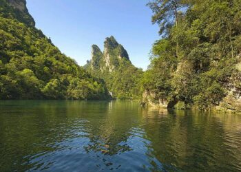 New scenic area in Shenyang opens in time for lotus blooming season – China Daily