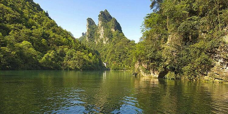 New scenic area in Shenyang opens in time for lotus blooming season – China Daily
