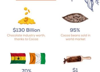 Cameroon Nears Full Cocoa Traceability As EU Deadline Looms, but Risks Remain – allAfrica.com