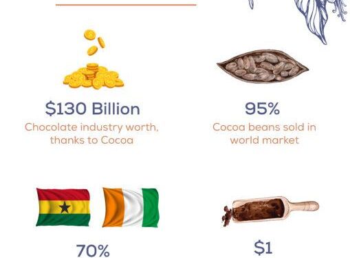 Cameroon Nears Full Cocoa Traceability As EU Deadline Looms, but Risks Remain – allAfrica.com