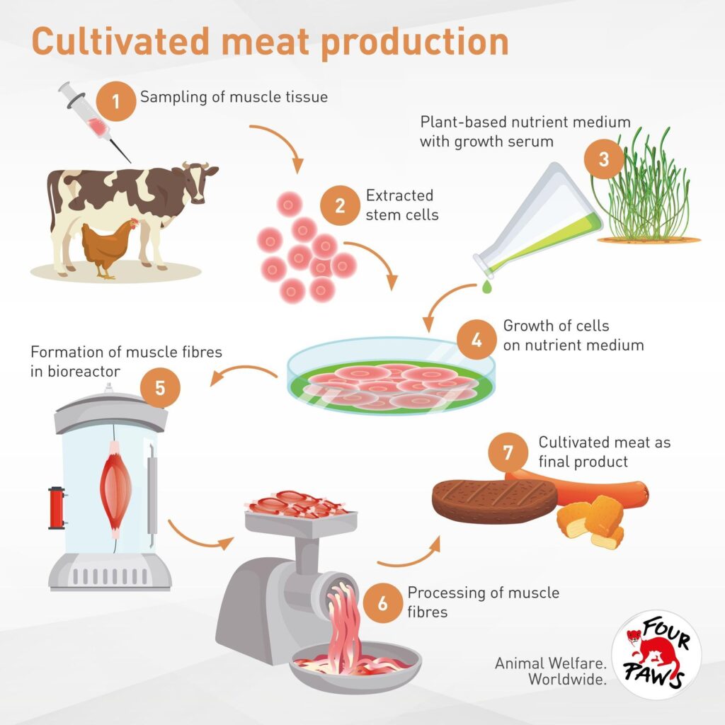 Exclusive: Friends & Family Pet Food Company Gets Singapore Approval for Cultivated Meat – Green Queen Media