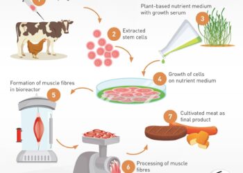 Exclusive: Friends & Family Pet Food Company Gets Singapore Approval for Cultivated Meat – Green Queen Media