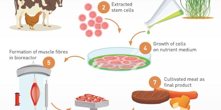Exclusive: Friends & Family Pet Food Company Gets Singapore Approval for Cultivated Meat – Green Queen Media