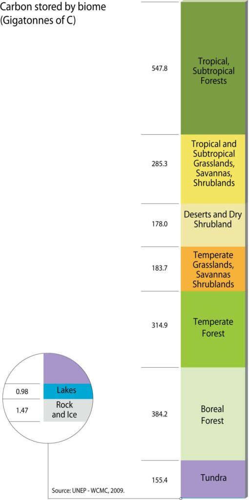 Spatiotemporal variation characteristics of ecosystem carbon storage in Zhengzhou and future multi-scenario simulation prediction – Frontiers