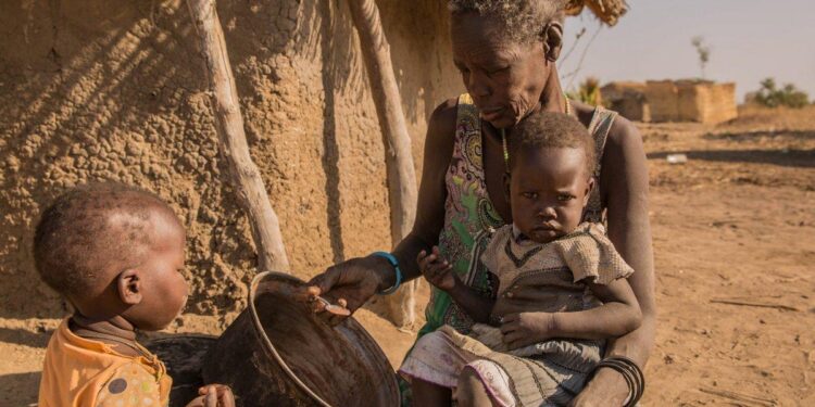 UN warns of rising hunger across Africa – DW
