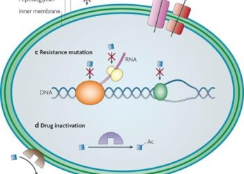 Occurrence and distribution of antibiotic resistance genes in urban rivers with black-odor water of Harbin, China – ScienceDirect.com
