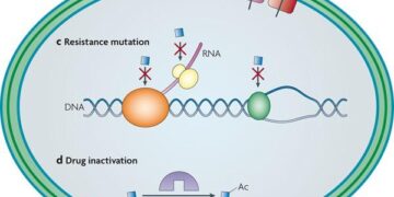 Occurrence and distribution of antibiotic resistance genes in urban rivers with black-odor water of Harbin, China – ScienceDirect.com