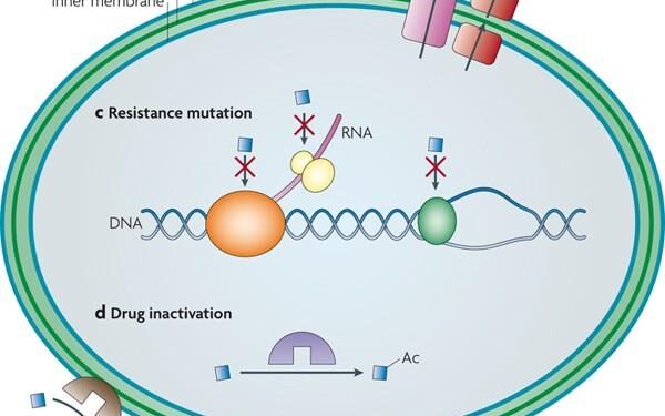 Occurrence and distribution of antibiotic resistance genes in urban rivers with black-odor water of Harbin, China – ScienceDirect.com