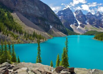 Opinion: Canada’s Armed Forces has a far-right problem – Montreal Gazette