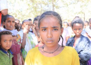 Faced with hardships at home, Ethiopians risk dangerous seas for a better life elsewhere – WFMZ.com