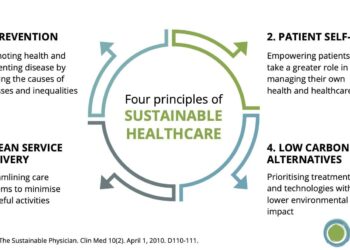 Promoting sustainable health and safety in post-pandemic disaster risk management in Istanbul, Turkey – Frontiers
