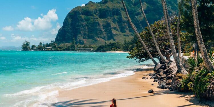 Hawaii Flights Resume, Cruise Ships Adjust After Pacific Tsunami Alerts – Travel Market Report