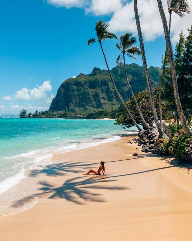 Hawaii Flights Resume, Cruise Ships Adjust After Pacific Tsunami Alerts – Travel Market Report