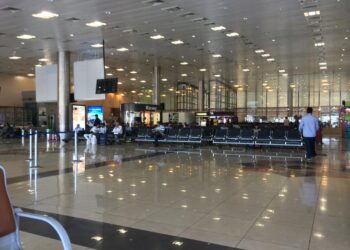 Pune Airport reports 145 bird-hit incidents since 2020 – Hindustan Times