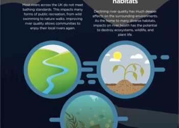 What is River Health? Exploring Rio de Janeiro’s Rivers and Their Connection to Human Health [REFERENCE] – RioOnWatch