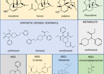 China group likely used Japan to ship fentanyl chemicals: Nikkei investigation – Nikkei Asia