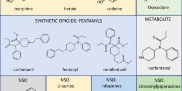China group likely used Japan to ship fentanyl chemicals: Nikkei investigation – Nikkei Asia