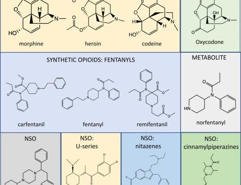 China group likely used Japan to ship fentanyl chemicals: Nikkei investigation – Nikkei Asia