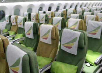 Ethiopian Airlines’ Urumqi link becomes key cargo corridor between Africa and Asia – fanamc.com
