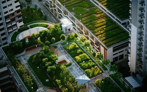 Construction, assessment, and protection of green infrastructure networks from a dynamic perspective: A case study of Dalian City, Liaoning Province, China – ScienceDirect.com