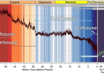 Fall 2025 to be “historically warm” in NY, experts say. The details – Lohud