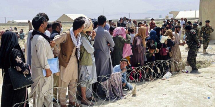 On emotional 4th anniversary of Taliban takeover in Kabul, Afghan refugees in Toronto reflect – CBC