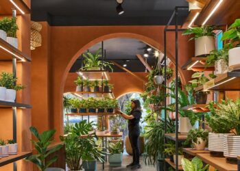 concept by sowe roots ugaoo’s flagship plant store in biophilic design in pune, india – Designboom