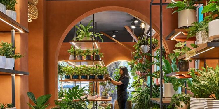 concept by sowe roots ugaoo’s flagship plant store in biophilic design in pune, india – Designboom