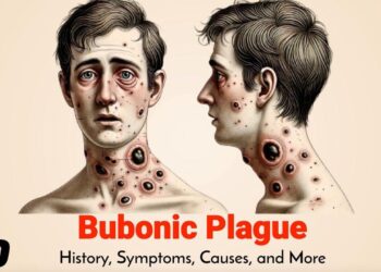 A plague mysteriously spread from Europe into Asia 4,000 years ago. Scientists now think they may know how – CNN