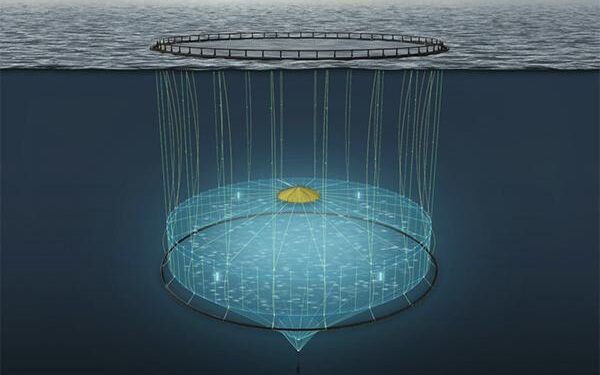Deep-sea intelligent aquaculture vessel delivered for use in China’s Qingdao – English.gov.cn