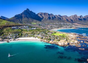 Cape Town fights off a baboon invasion – Financial Times