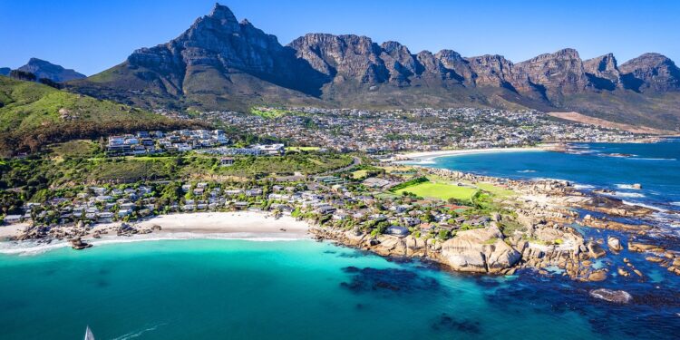 Cape Town fights off a baboon invasion – Financial Times