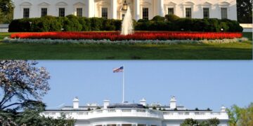 White House welcomes Afrikaners to the U.S., but drops protection for Afghan allies – NPR