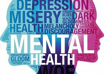 Mental Health in All Policies: Address Challenges and Design Shared Solutions – World Health Organization (WHO)