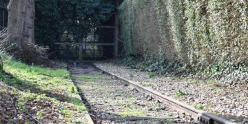 In pics: comprehensive park transformed from railway remains in Xi’an, China’s Shaanxi – People’s Daily Online