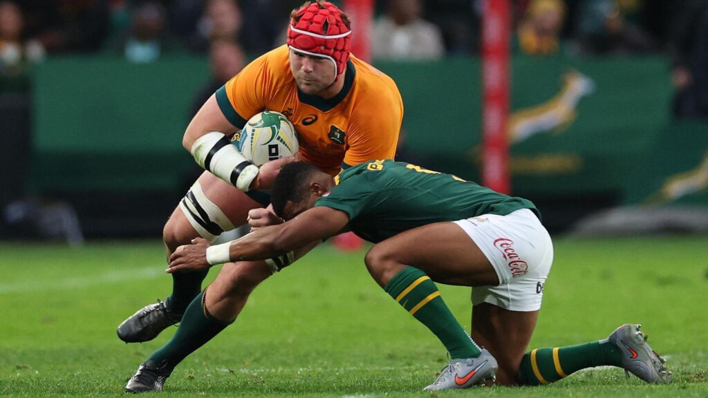 Can Australia Rugby Do It Again? Springboks vs. Wallabies Notes – FloRugby