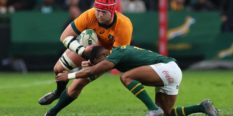 Can Australia Rugby Do It Again? Springboks vs. Wallabies Notes – FloRugby
