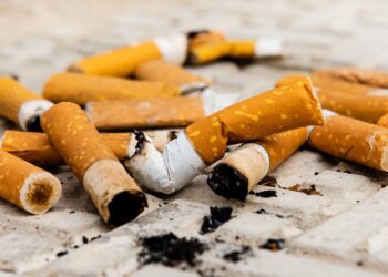 Improper disposal of cigarette butts in a southeast Asian megacity (Hanoi, Vietnam): Pollution indexes, distribution profiles, and preliminary physicochemical characterization – ScienceDirect.com