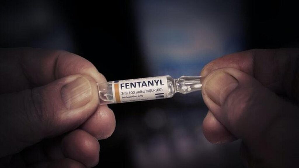 (3 of 3) Fentanyl’s Hidden Routes: Making use of good-willed countrymen – Nikkei Asia