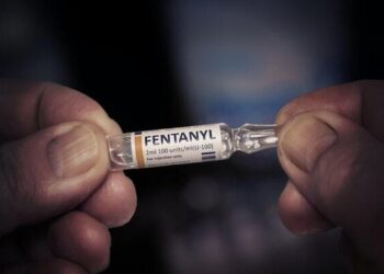 (3 of 3) Fentanyl’s Hidden Routes: Making use of good-willed countrymen – Nikkei Asia