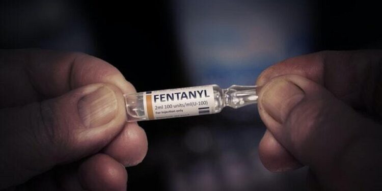 (3 of 3) Fentanyl’s Hidden Routes: Making use of good-willed countrymen – Nikkei Asia