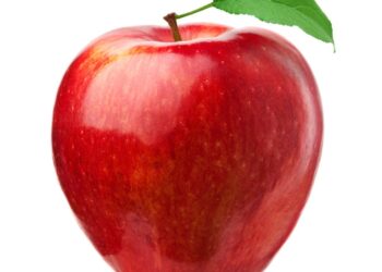 Apple India leases 2.7 lakh sq ft of office space in Bengaluru, likely to be one of the largest single-te – The Times of India