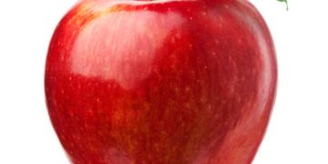 Apple India leases 2.7 lakh sq ft of office space in Bengaluru, likely to be one of the largest single-te – The Times of India