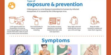 What you should know about chikungunya fever as cases rise in China – South China Morning Post