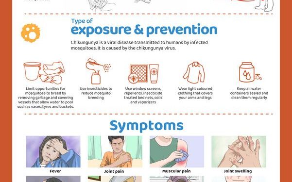 What you should know about chikungunya fever as cases rise in China – South China Morning Post