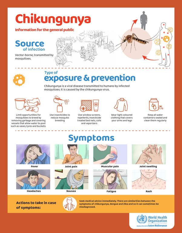 What you should know about chikungunya fever as cases rise in China – South China Morning Post