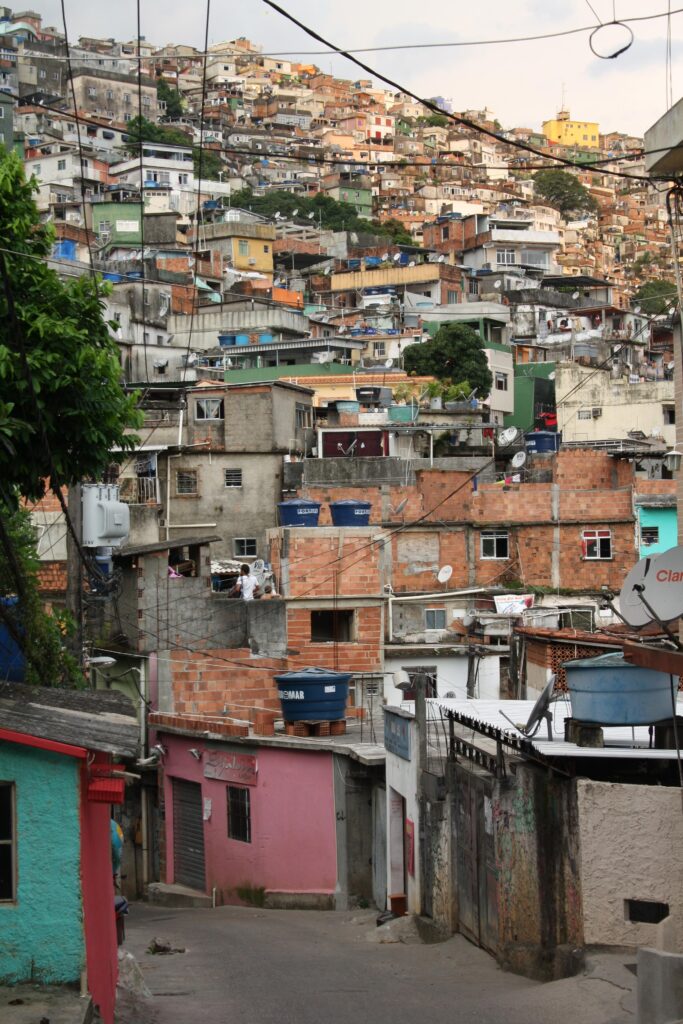 ‘I had no idea it would snowball this far’: Why a Brazilian favela facing eviction decided to go green – BBC