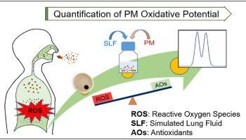 Oxidative Potential in Ningbo, China: Key Chemicals, Sources, and Health Risks via Dual-Assay and Machine Learning – ScienceDirect.com