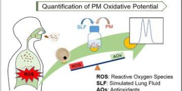 Oxidative Potential in Ningbo, China: Key Chemicals, Sources, and Health Risks via Dual-Assay and Machine Learning – ScienceDirect.com